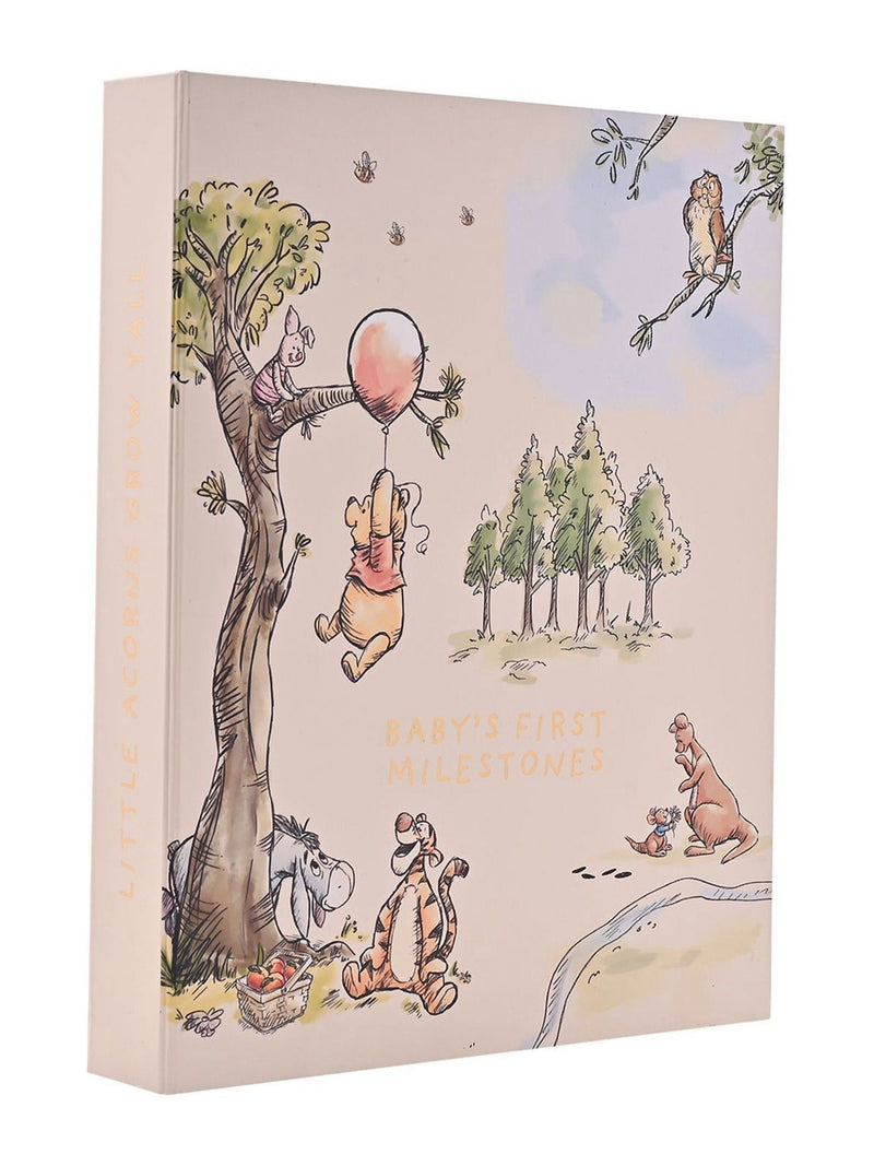 Widdop Winnie the Pooh milestone album with cards (British brand)