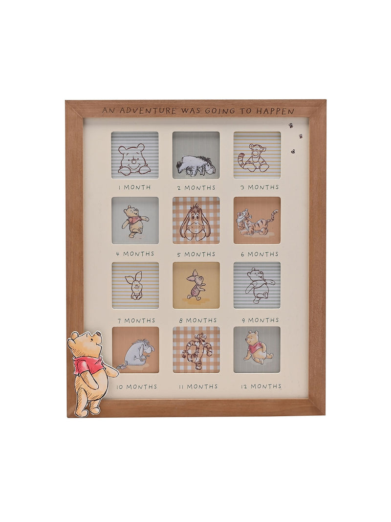 Widdop Winnie the Pooh first year frame, imported from the UK