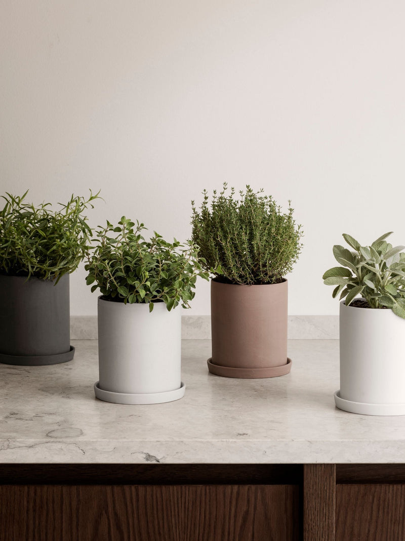 blomus Pewter NONA Herb Pot