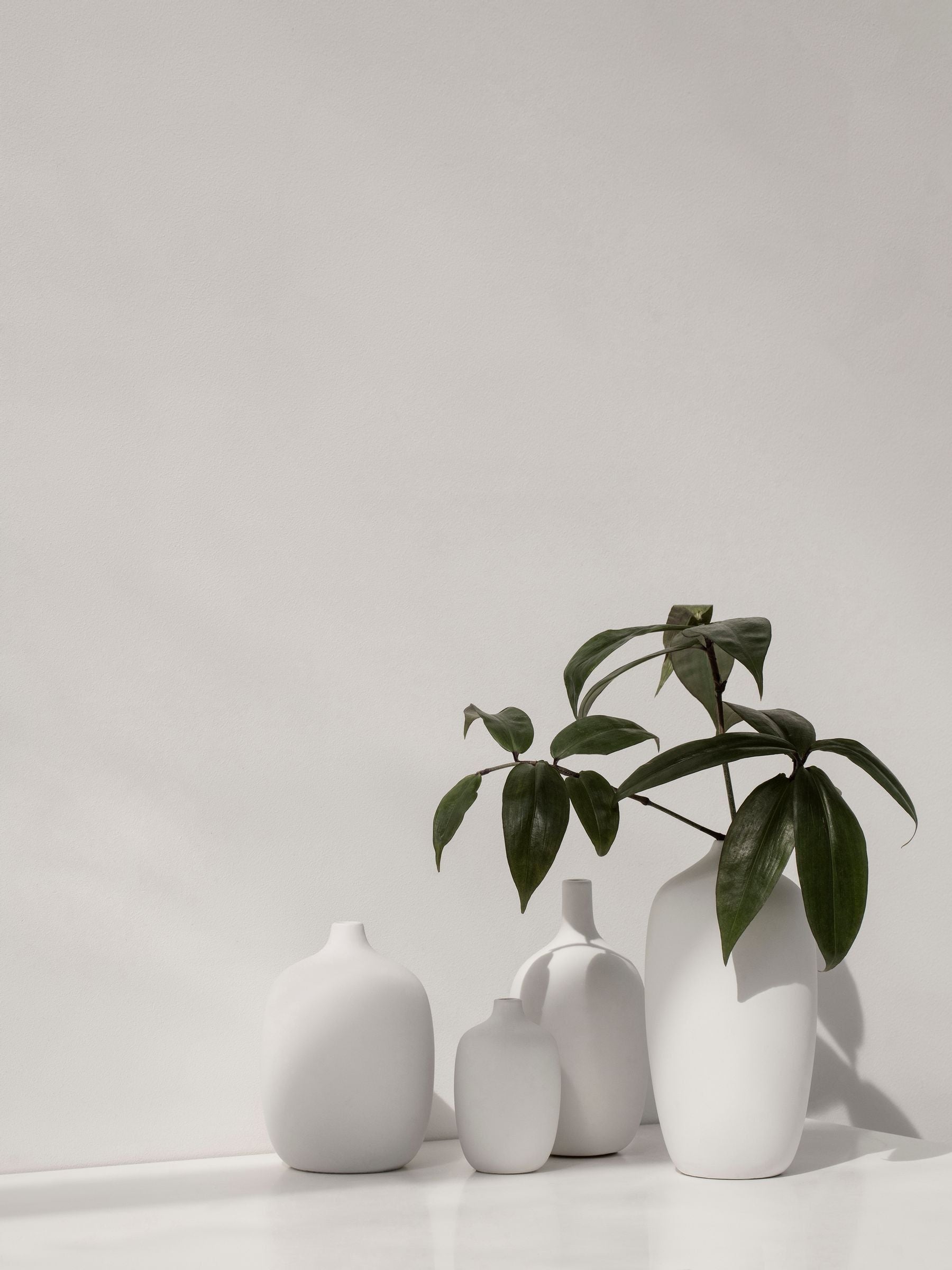 blomus white CEOLA large vase, UK version