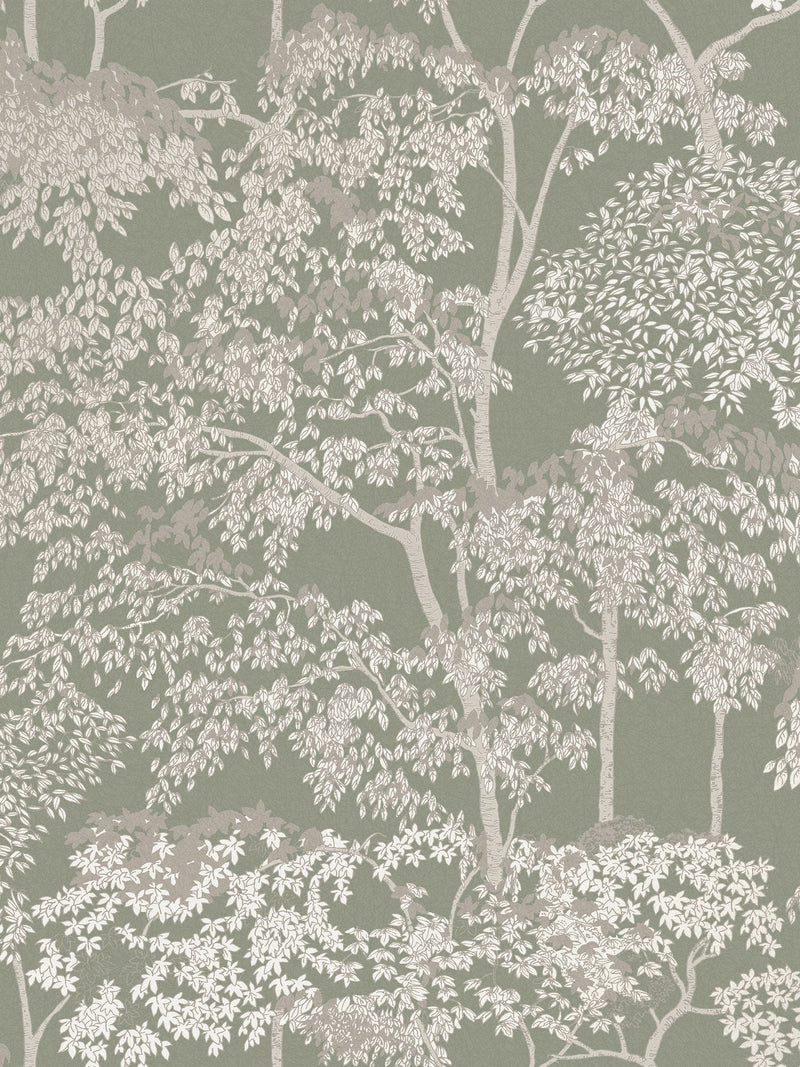 Graham & Brown Sage Idyll Tree A4 Wallpaper Sample