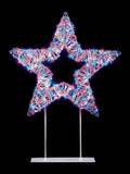 Premier Decorations table top star with 720 rainbow LEDs 45cm (British brand)