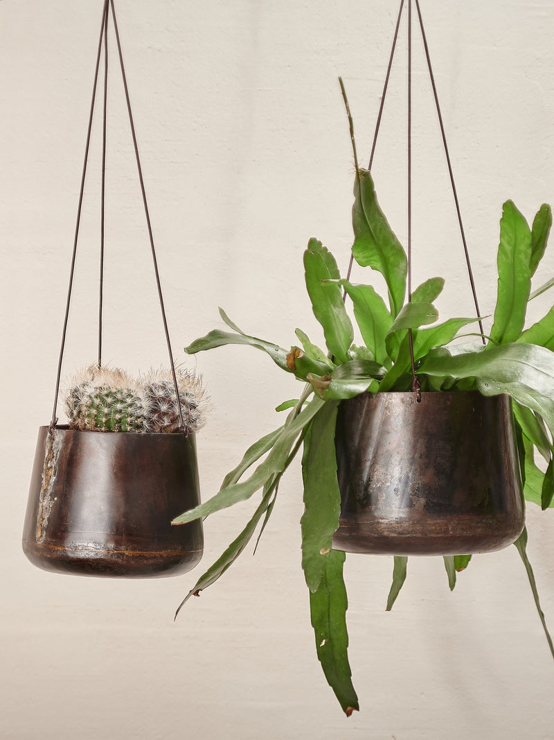 Nkuku black iron hanging planter with leather string, imported from the UK