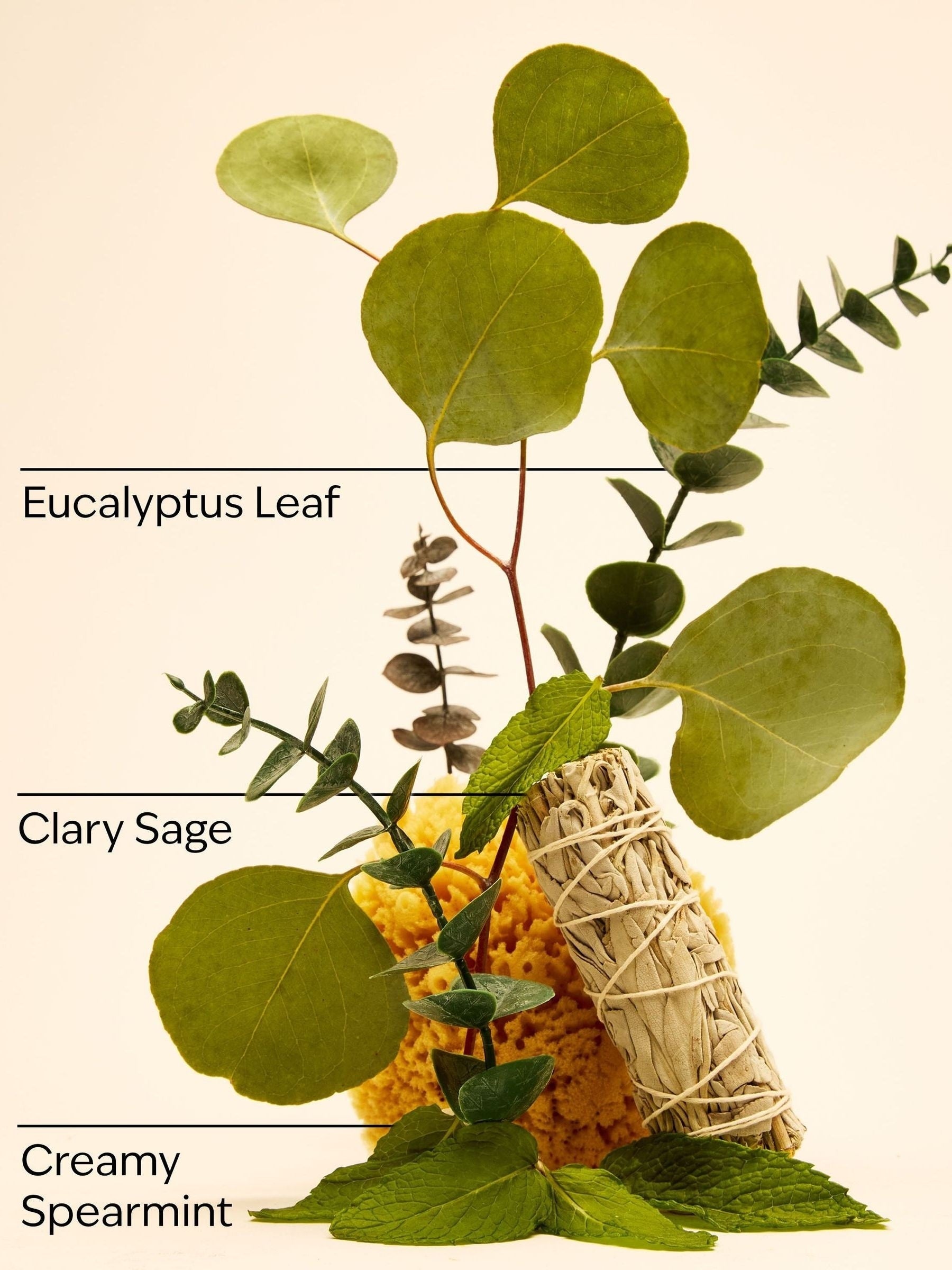 Bath & Body Works Eucalyptus Spearmint Luxe Bath 245ml, imported from the UK