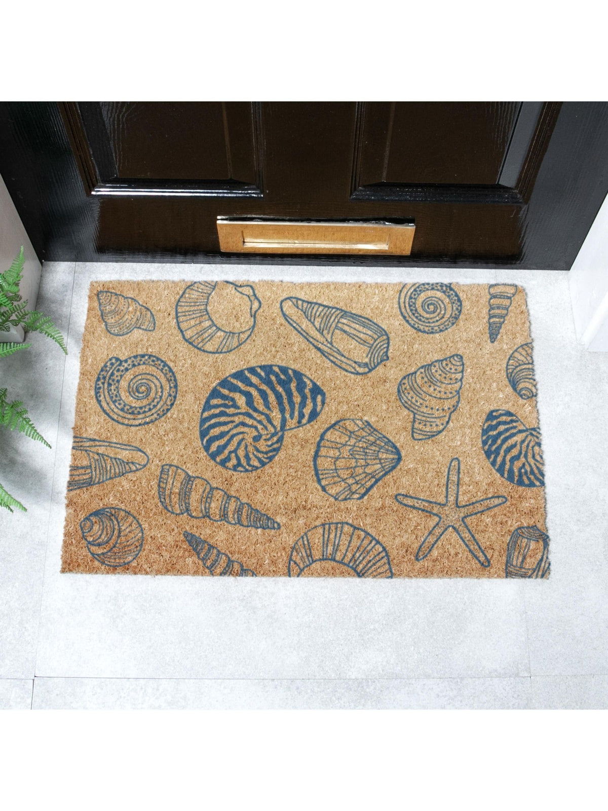 Artsy Mats Brown Shells doormat 60x40cm, UK version
