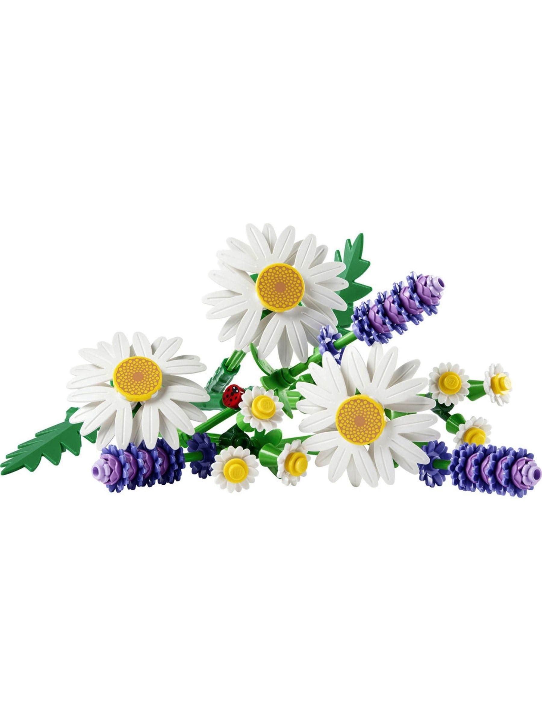 LEGO Botanicals Daisies building set, UK version