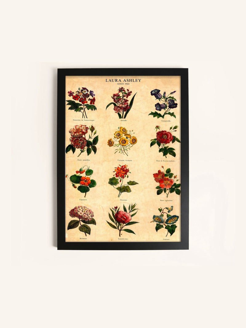 Laura Ashley medium botanical wall art frame (British brand)