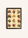 Laura Ashley medium botanical wall art frame (British brand)