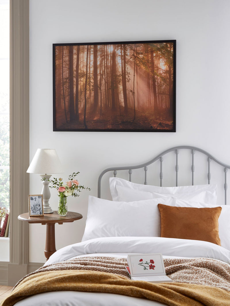 Laura Ashley Brown Sunlit Trees Small Wall Art Frame
