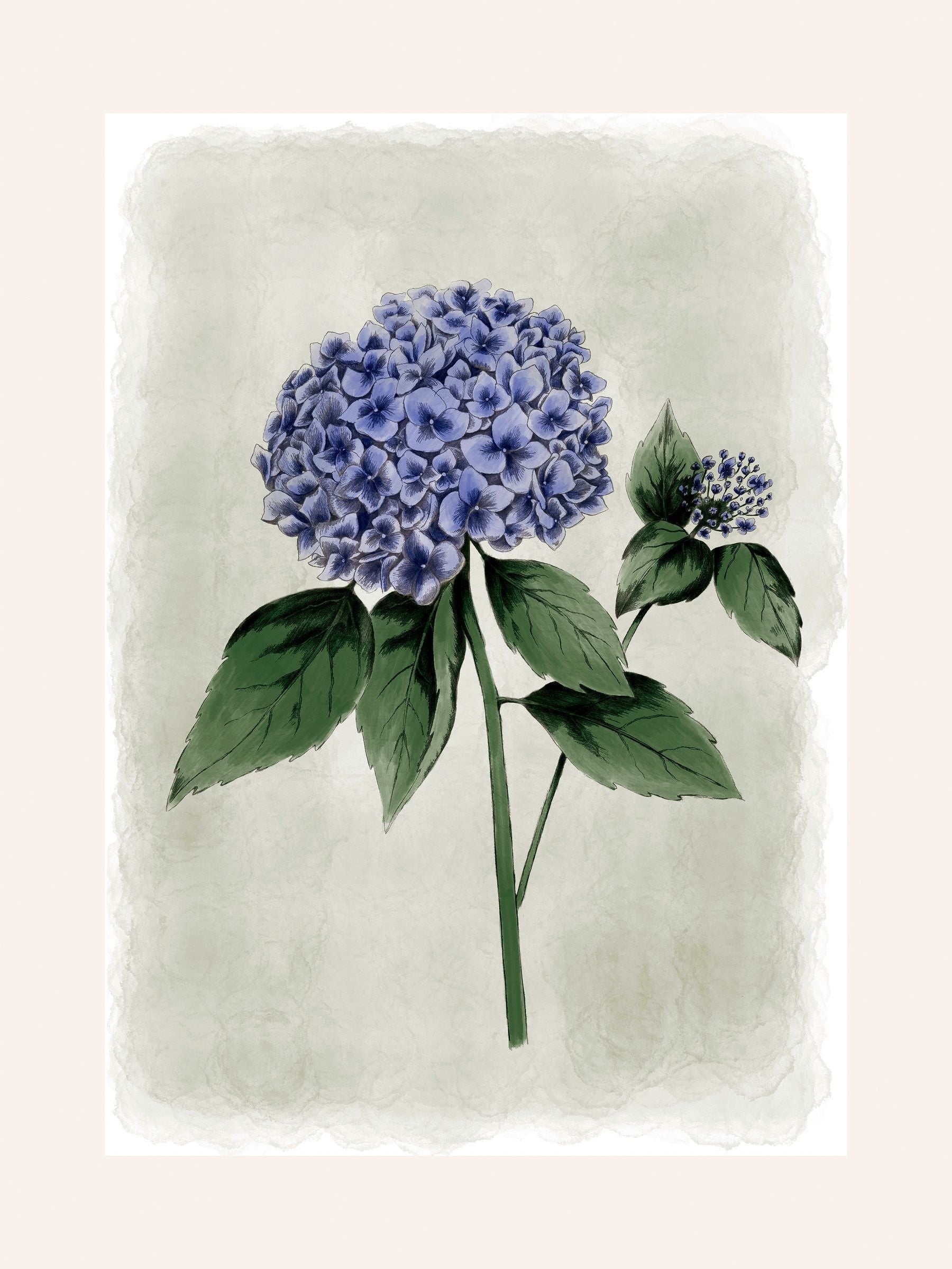 Laura Ashley blue hydrangea wall art medium frame (British brand)