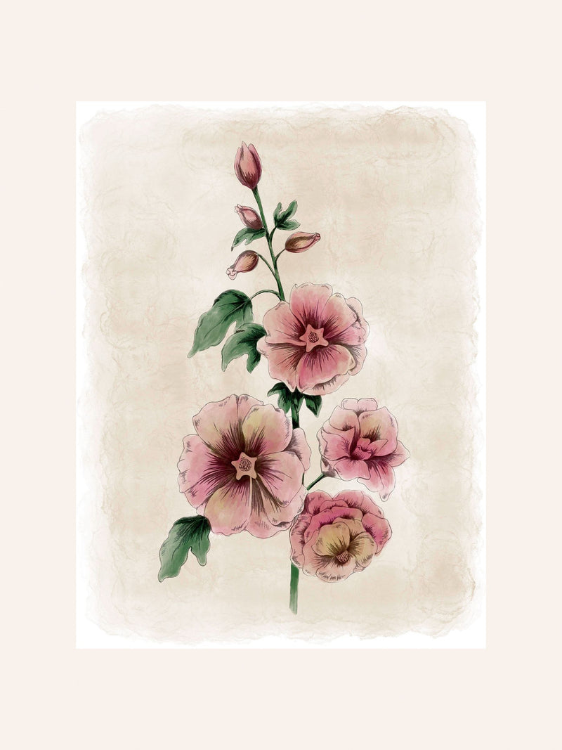Laura Ashley red hollyhocks small wall art frame - British product