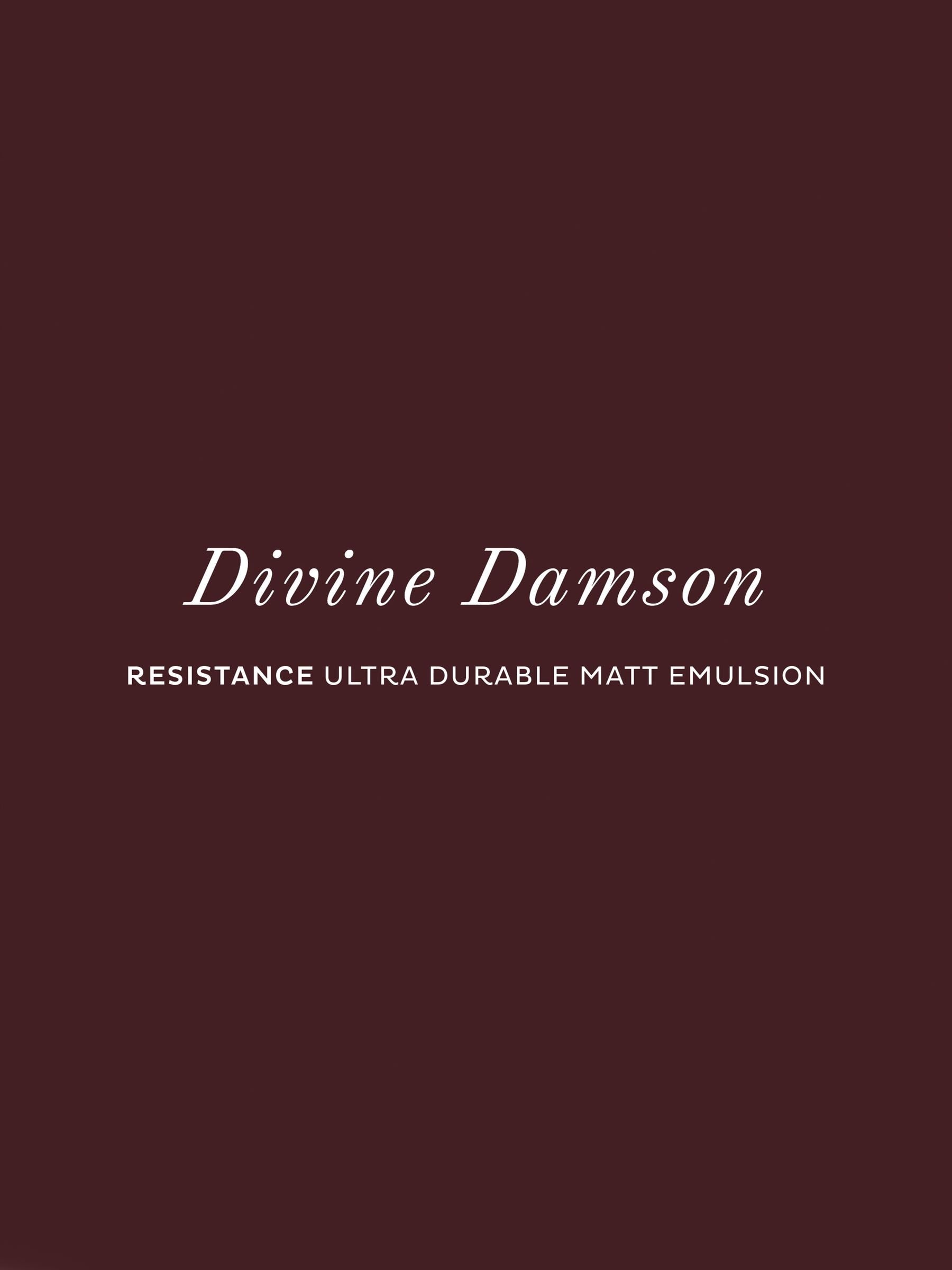 Graham & Brown Divine Damson paint sample, UK version