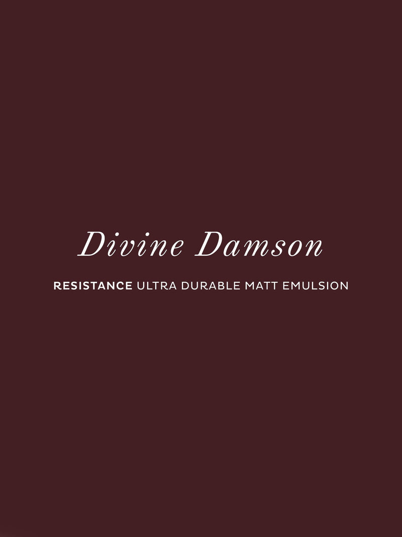 Graham & Brown Divine Damson paint sample, UK version