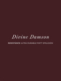 Graham & Brown Divine Damson paint sample, UK version