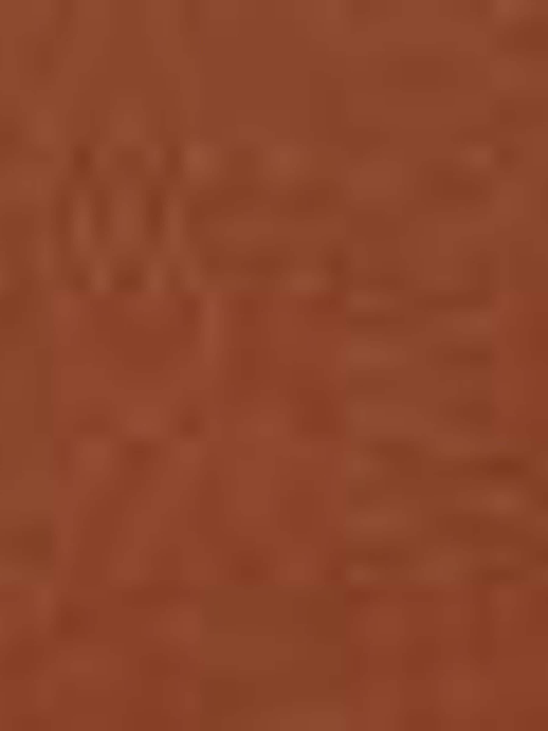 Lauren Ralph Lauren brown large Adair wallet on chain bag, imported from the UK