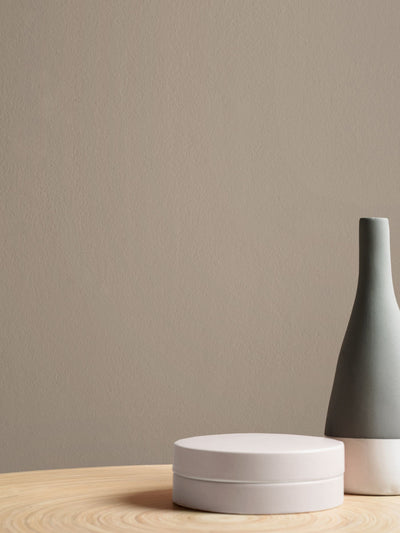 Next Graham & Brown Birdhouse Matt Emulsion Paint- Buy online at McGrocer