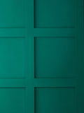 Graham & Brown Bessie matt emulsion paint in green (British brand)