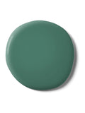 Graham & Brown Bessie matt emulsion paint in green (British brand)