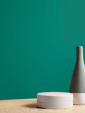 Graham & Brown Bessie matt emulsion paint in green (British brand)