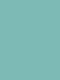 Graham & Brown Bobby Dazzler resistance matt emulsion paint (British brand)