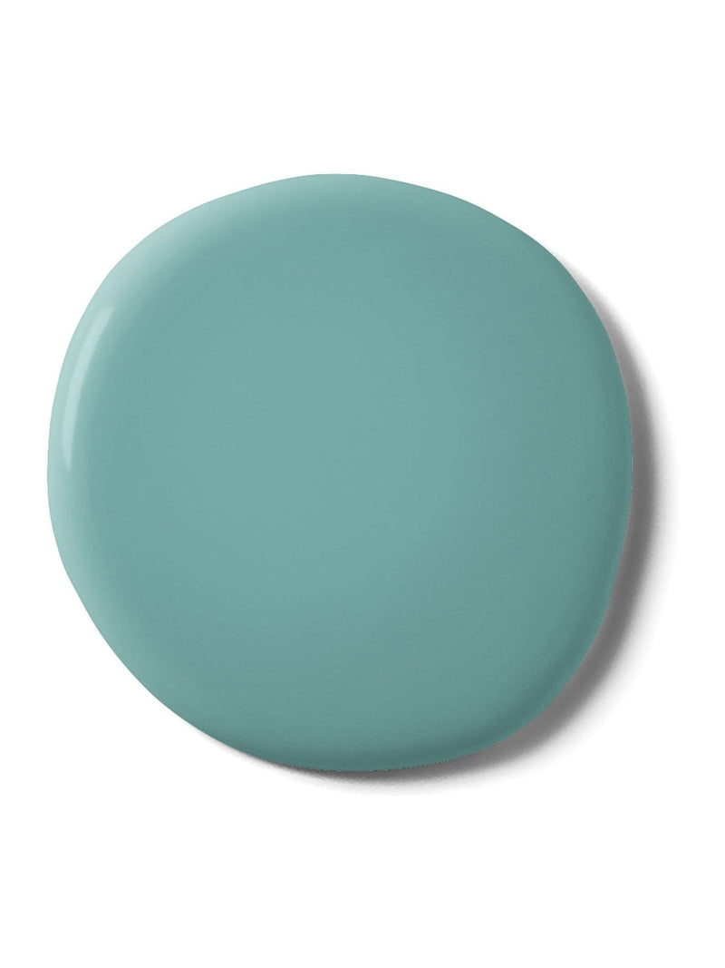 Graham & Brown Bobby Dazzler resistance matt emulsion paint (British brand)