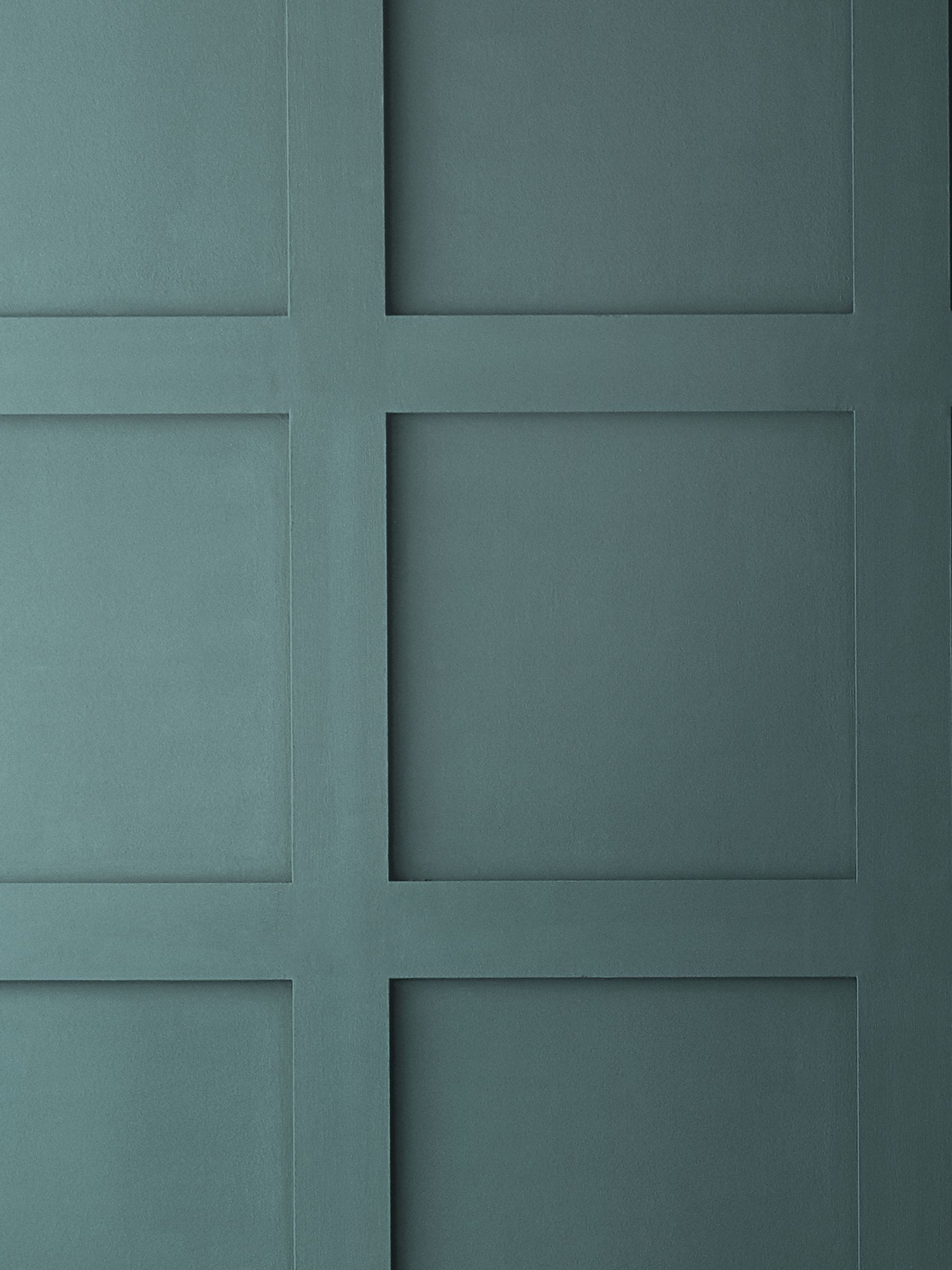 Graham & Brown Bordado Resistance Matt Emulsion Paint (British brand)