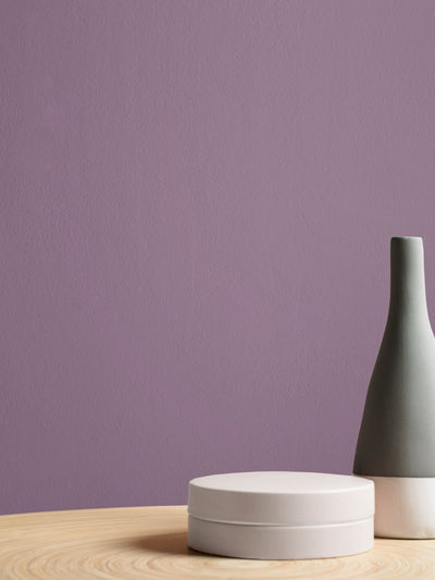Next Graham & Brown Balloon Flower Resistance Matt Emulsion Paint- Buy online at McGrocer