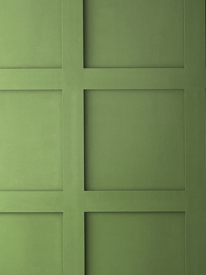 Graham & Brown Beanstalk matt emulsion paint green - British product