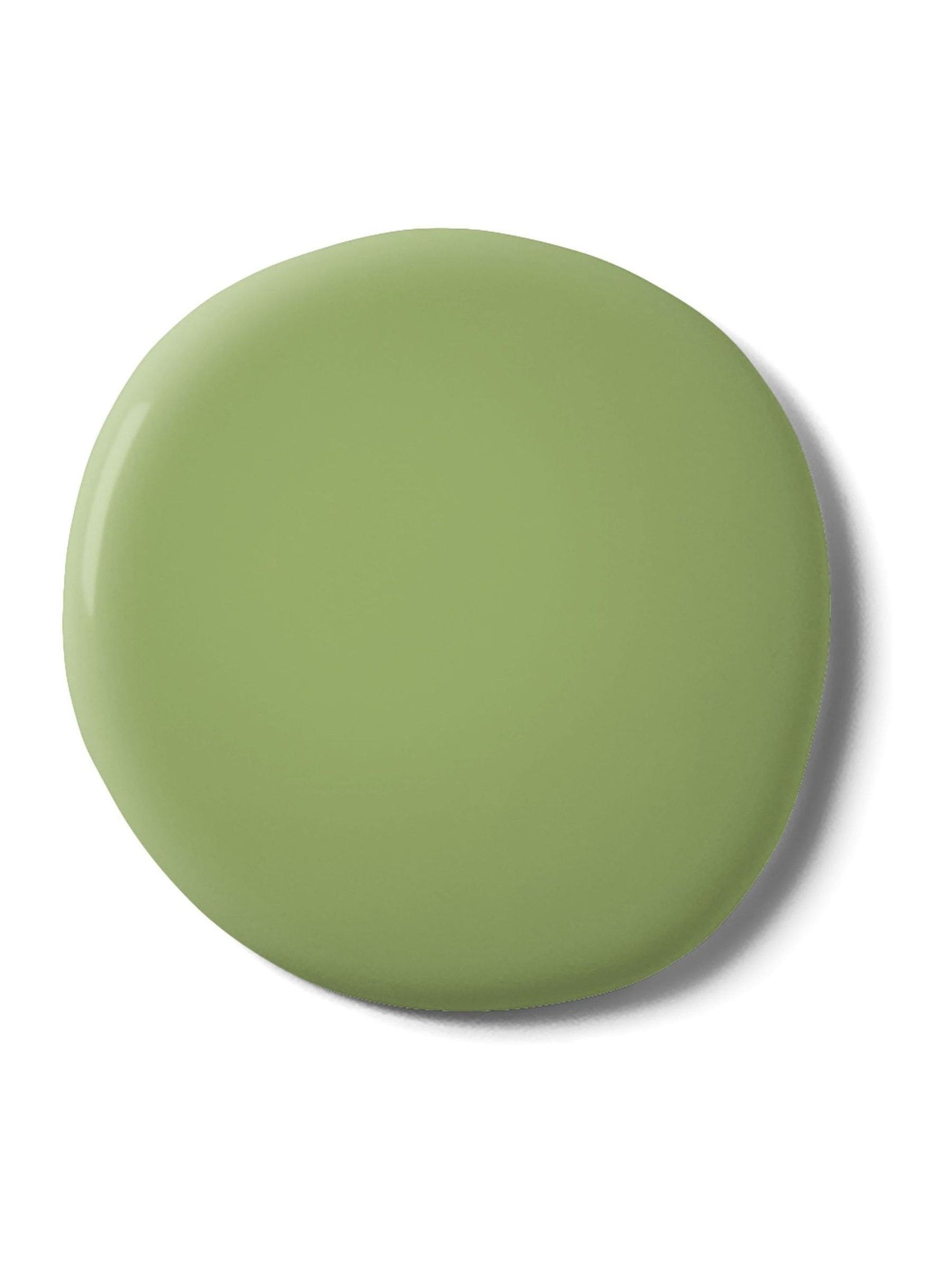 Graham & Brown Beanstalk matt emulsion paint green - British product