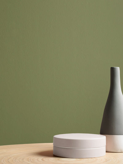 Next Graham & Brown Palm House Resistance Matt Emulsion Paint- Buy online at McGrocer