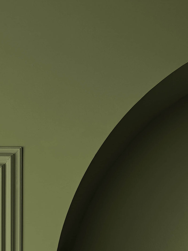Graham & Brown Palm House Resistance matt emulsion paint, UK version