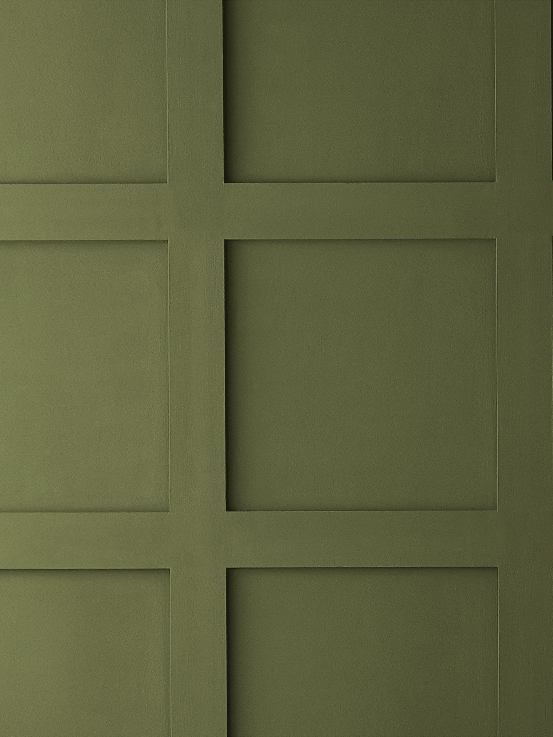 Graham & Brown Palm House Resistance matt emulsion paint, UK version