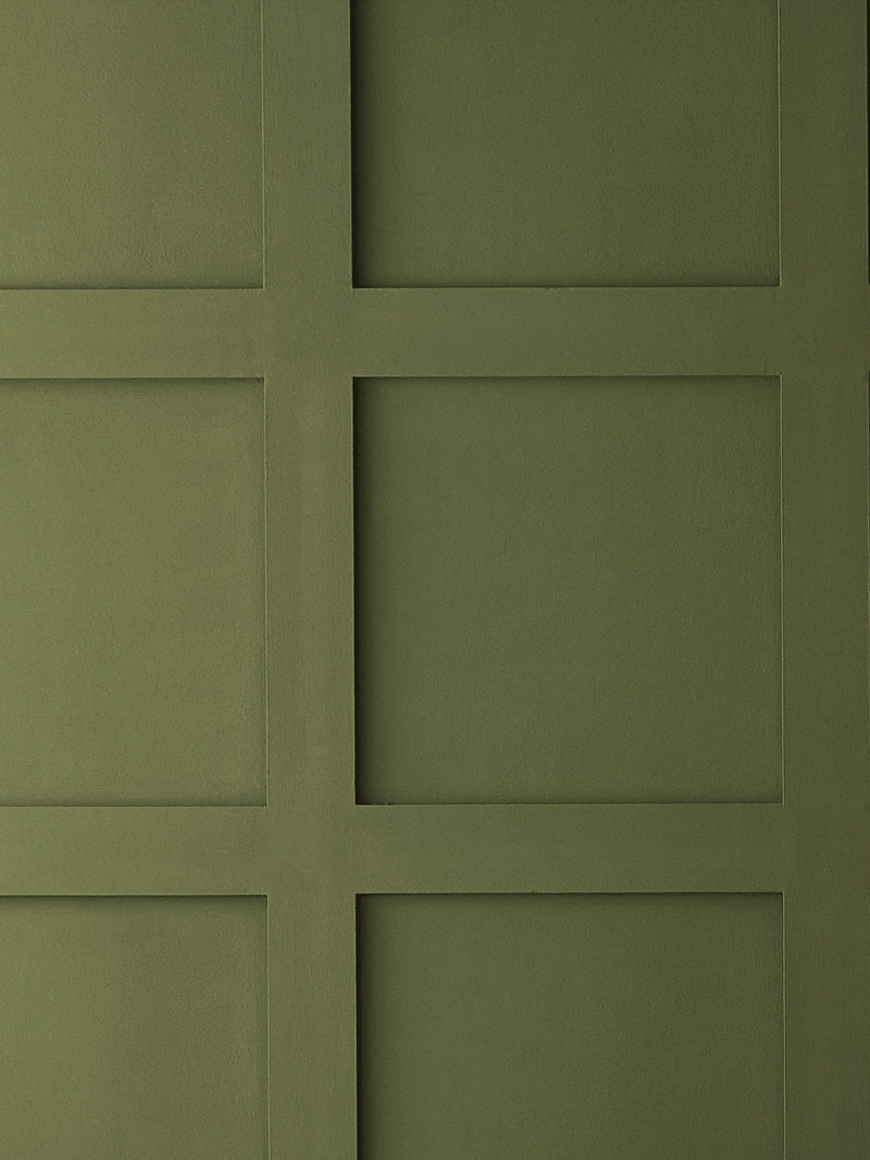 Graham & Brown Palm House Resistance matt emulsion paint, UK version