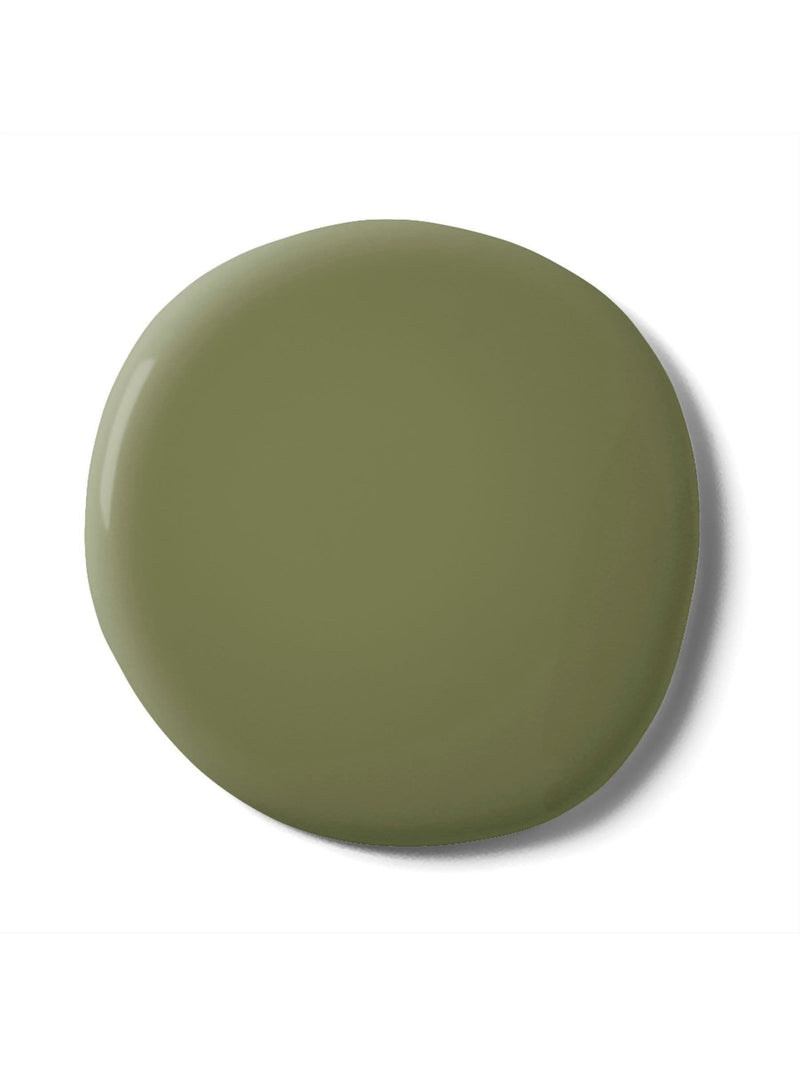 Graham & Brown Palm House Resistance matt emulsion paint, UK version