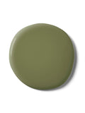 Graham & Brown Palm House Resistance matt emulsion paint, UK version