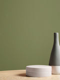 Graham & Brown Palm House Resistance matt emulsion paint, UK version