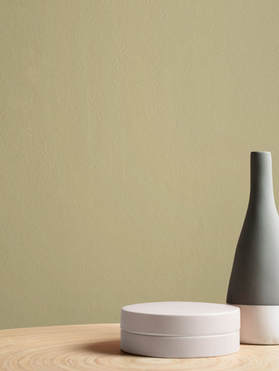 Next Graham & Brown Waddington Resistance Matt Emulsion Paint- Buy online at McGrocer