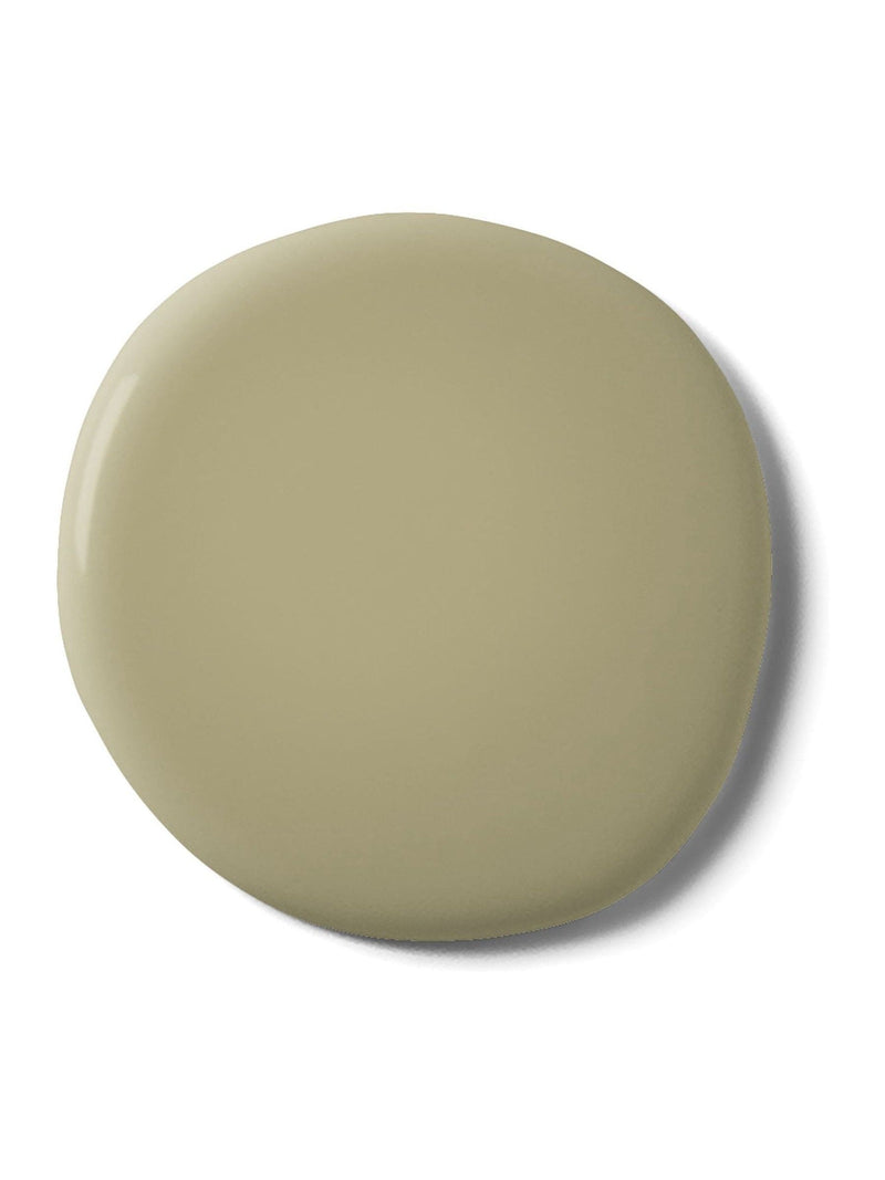 Graham & Brown Waddington Resistance Matt Emulsion Paint - British product