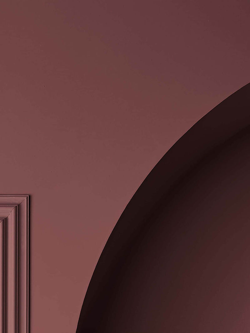 Graham & Brown Barolo Resistance Matt Emulsion Paint (British brand)