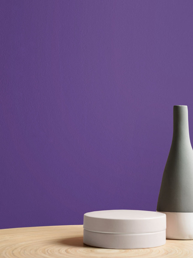 Graham & Brown Ultra purple interior eggshell paint (British brand)