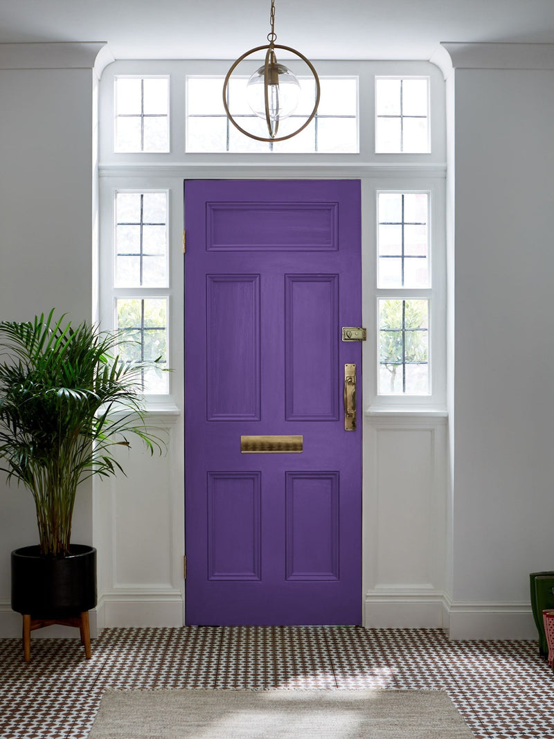 Graham & Brown Ultra purple interior eggshell paint (British brand)