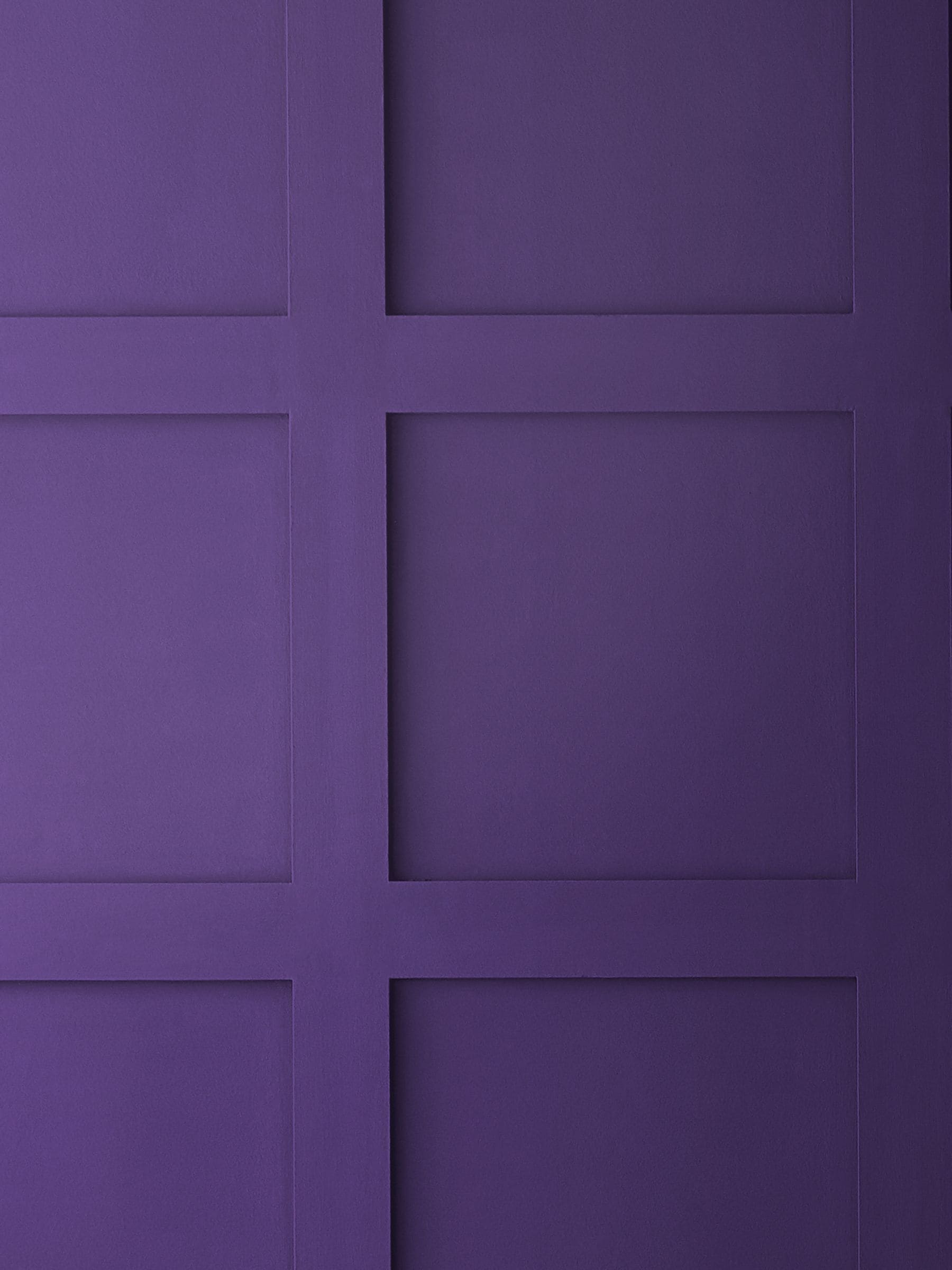 Graham & Brown Ultra purple interior eggshell paint (British brand)