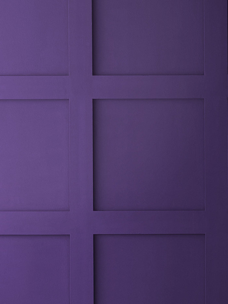 Graham & Brown Ultra purple interior eggshell paint (British brand)