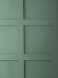 Graham & Brown Serene Sage matt emulsion paint sample, imported from the UK
