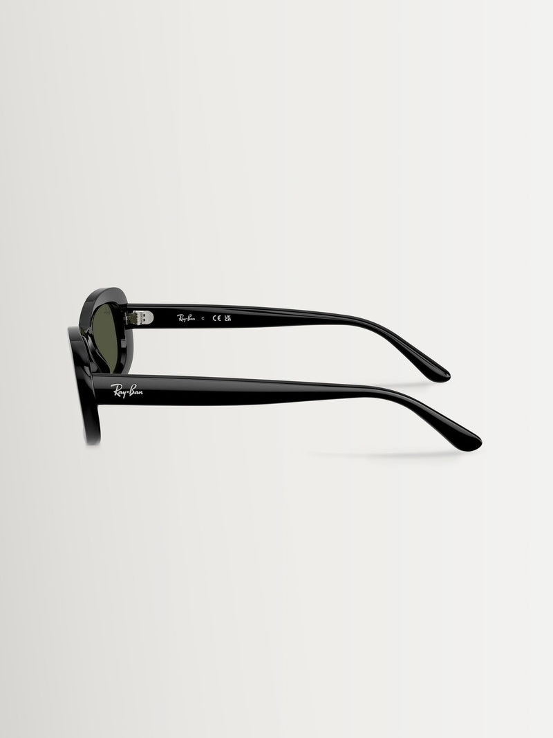 Ray Ban Black 0Rb2221  Sunglasses