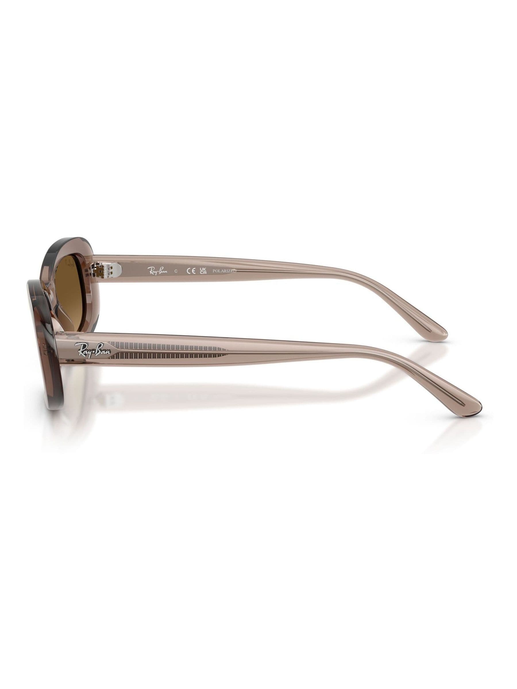 Ray Ban Brown 0Rb2221  Sunglasses