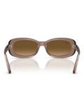 Ray Ban Brown 0Rb2221  Sunglasses