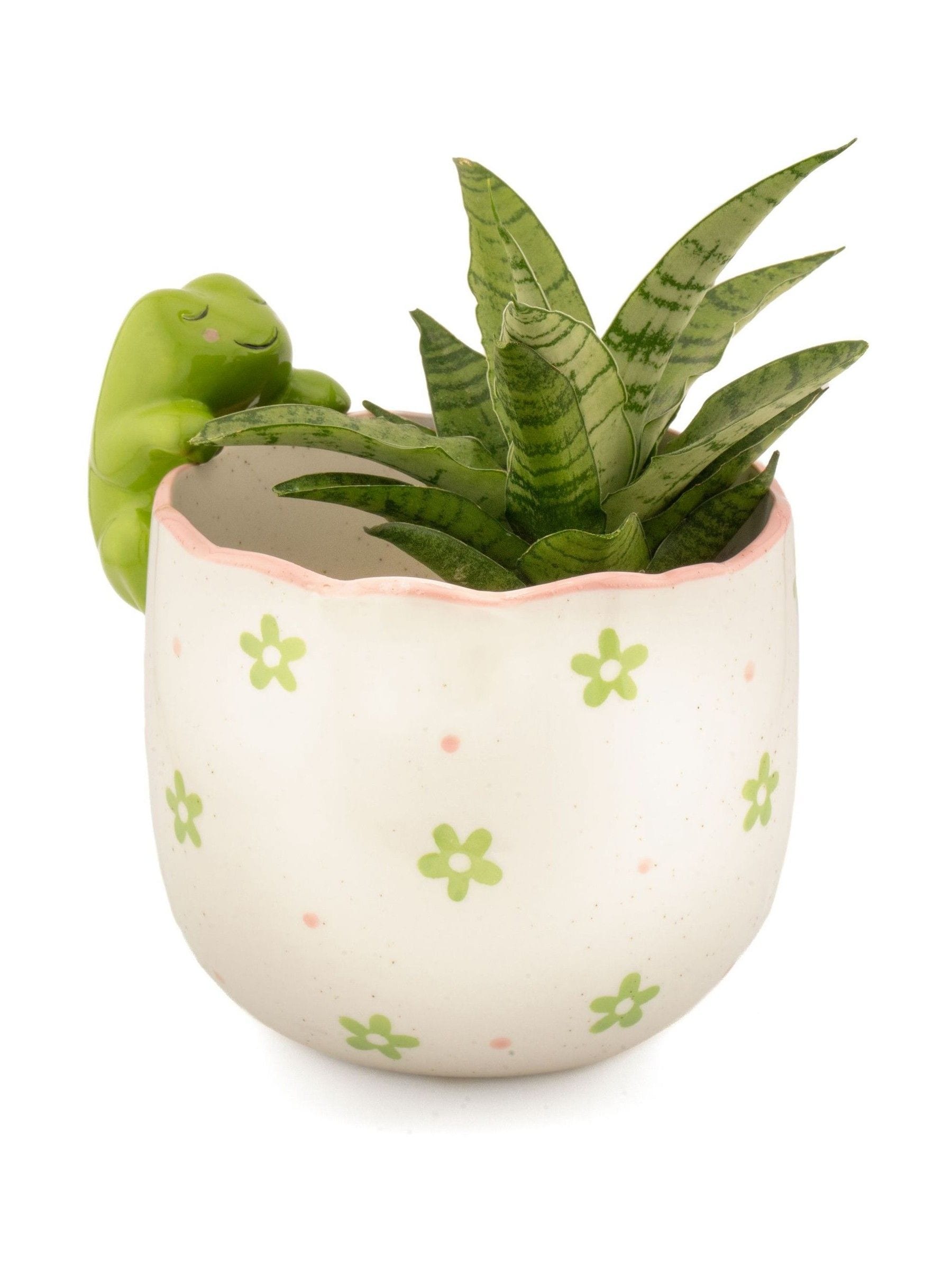 Sass & Belle green peeking frog planter 13cm, imported from the UK