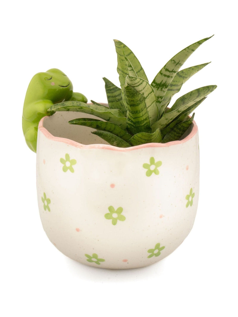 Sass & Belle green peeking frog planter 13cm, imported from the UK