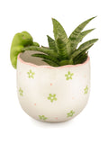 Sass & Belle green peeking frog planter 13cm, imported from the UK